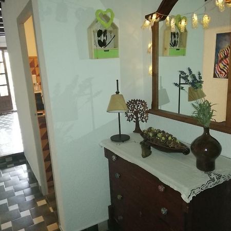Can Cactus غارغيييّا المظهر الخارجي الصورة