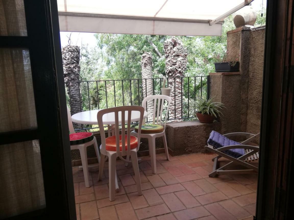 Can Cactus غارغيييّا المظهر الخارجي الصورة