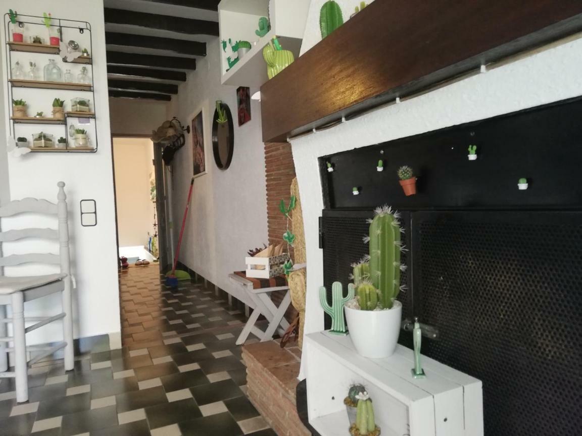 Can Cactus غارغيييّا المظهر الخارجي الصورة