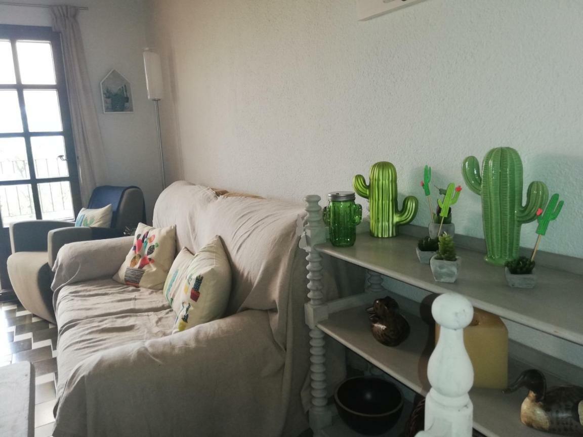 Can Cactus غارغيييّا المظهر الخارجي الصورة