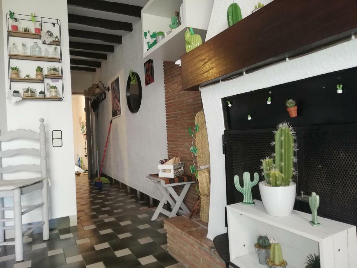 Can Cactus غارغيييّا المظهر الخارجي الصورة